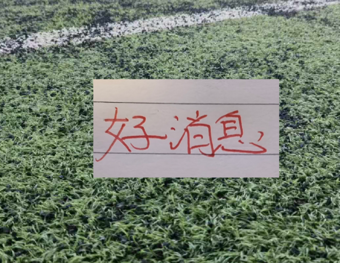 媒体人:三镇考察古斯塔沃
